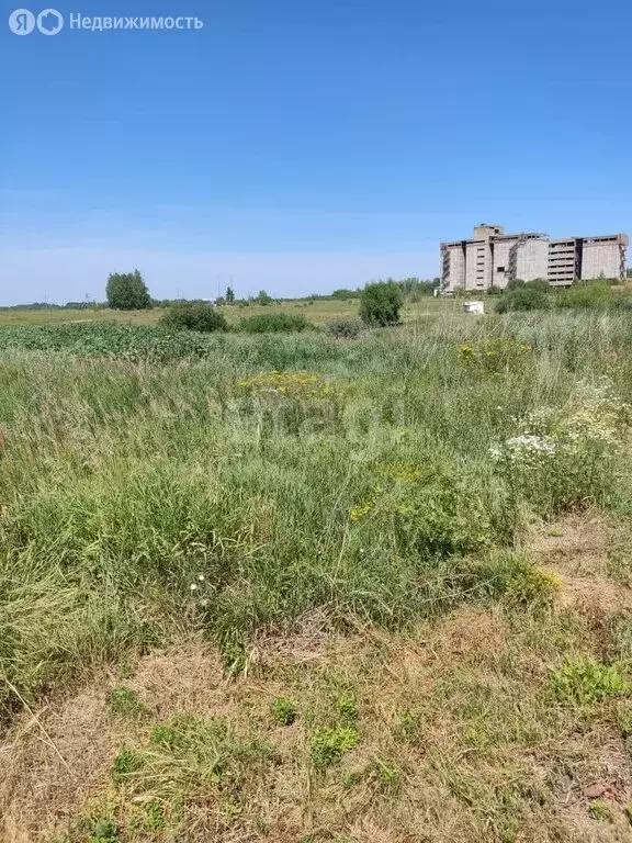 Участок в Пензенский район, Богословский сельсовет, село Богословка ... - Фото 1
