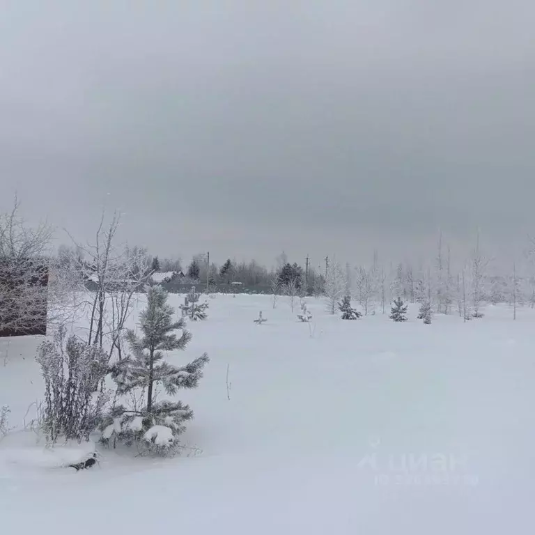 Участок в Владимирская область, Суздальский район, Селецкое ... - Фото 1