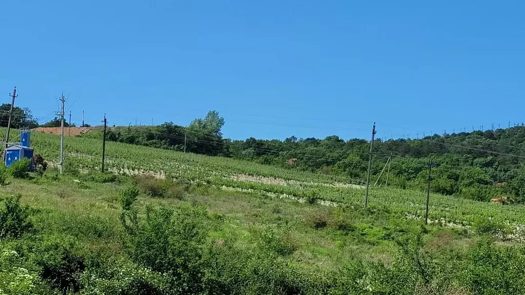 Участок в Краснодарский край, Анапа муниципальный округ, с. Супсех ул. ... - Фото 0