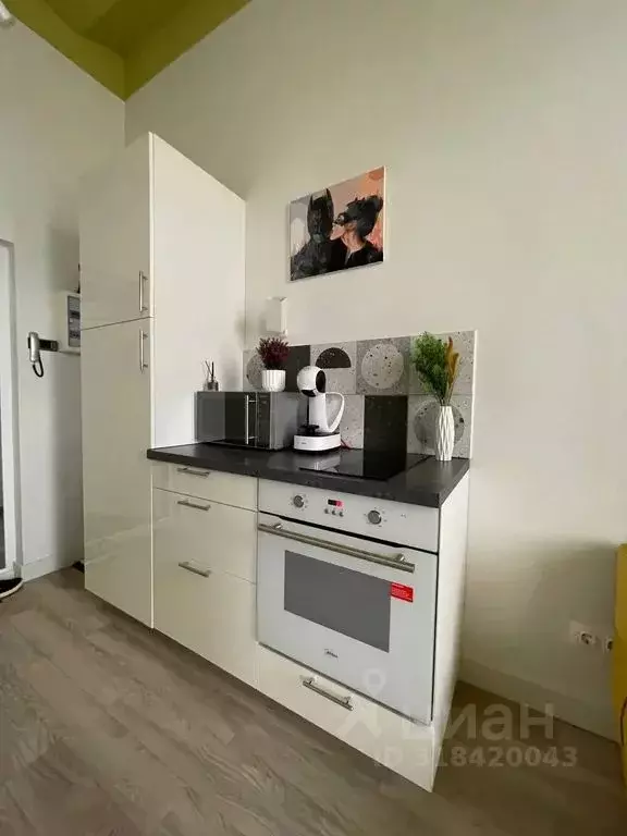 Студия Санкт-Петербург ул. Тюшина, 24 (23.0 м) - Фото 1