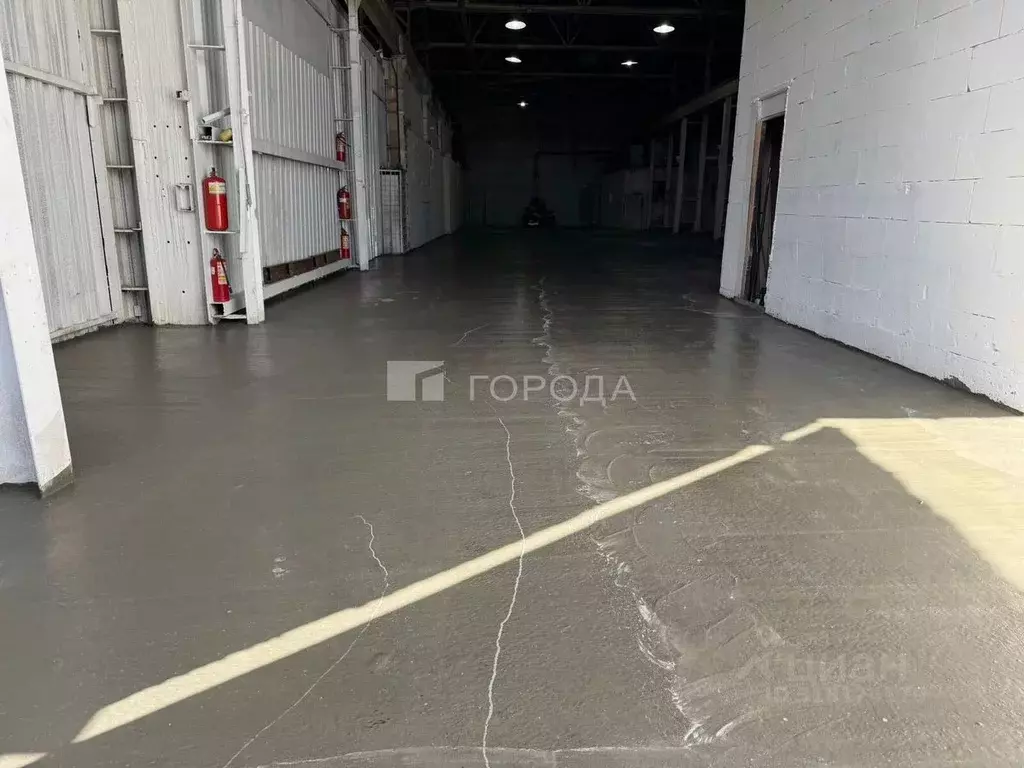 Помещение свободного назначения в Новосибирская область, Новосибирск ... - Фото 0