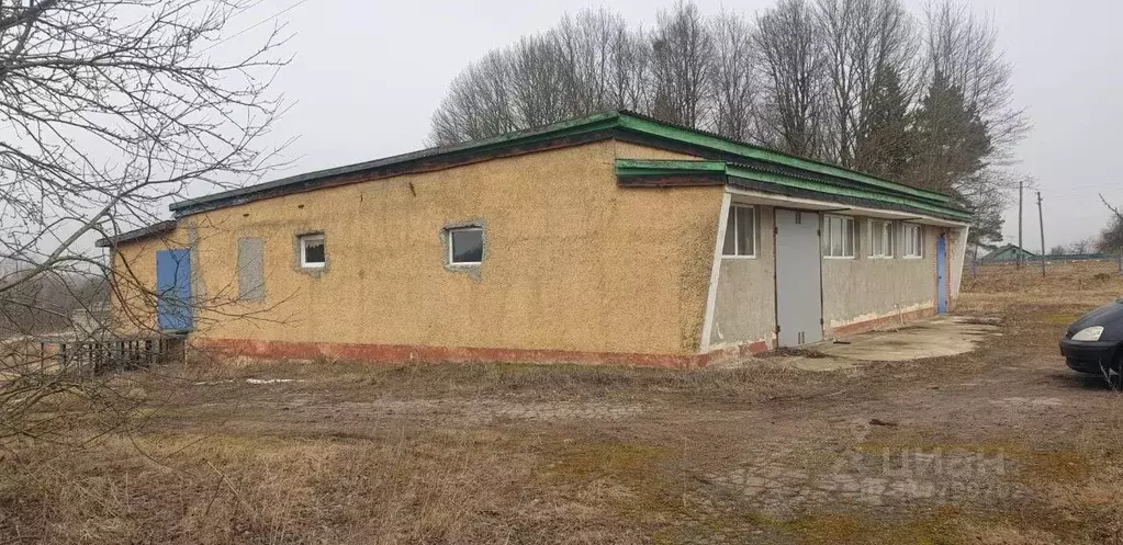 Помещение свободного назначения в Смоленская область, Краснинский ... - Фото 1