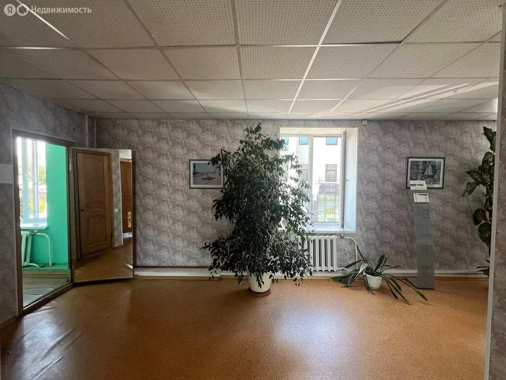 Офис (13 м) - Фото 2