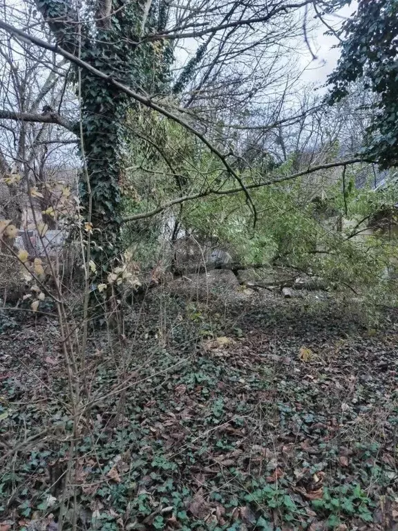 Участок в Краснодарский край, Геленджик городской округ, с. ... - Фото 2