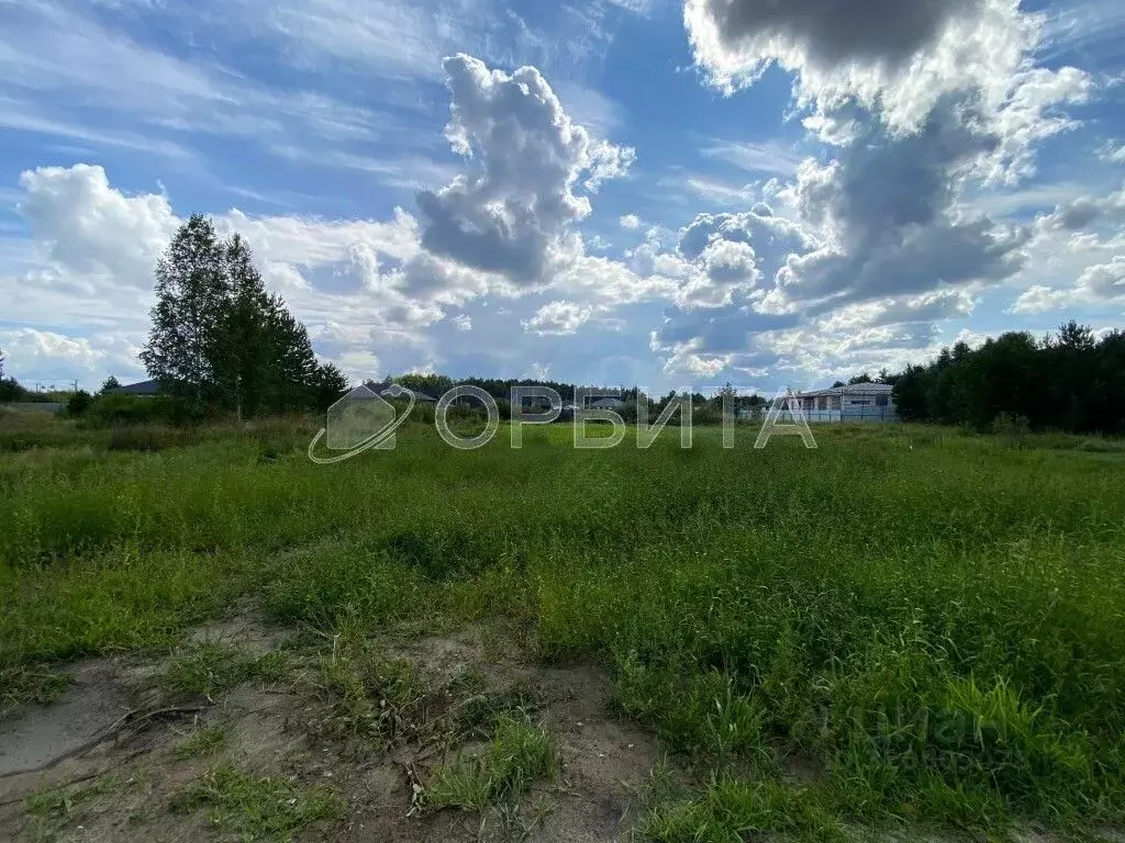 Участок в Тюменская область, Тюменский район, с. Перевалово  (13.2 ... - Фото 2