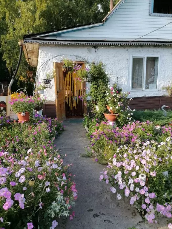 Дом в Омская область, Марьяновский район, Заозерное СНТ  (60 м) - Фото 1