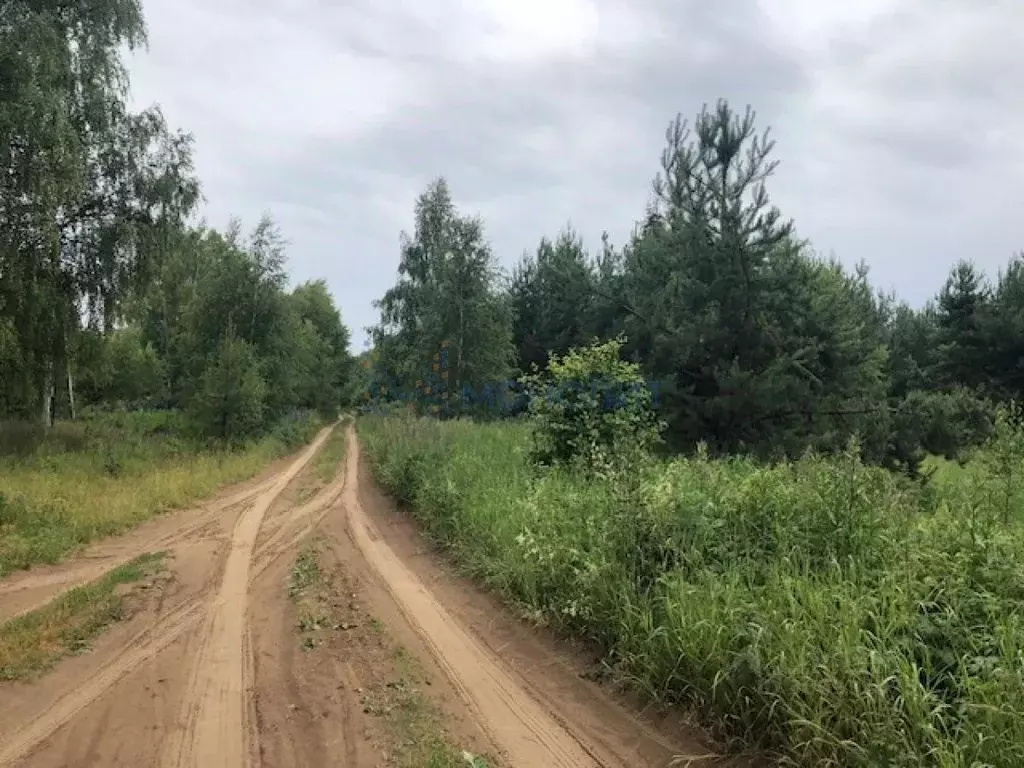 Участок в Нижегородская область, Сокольский городской округ, д. ... - Фото 0