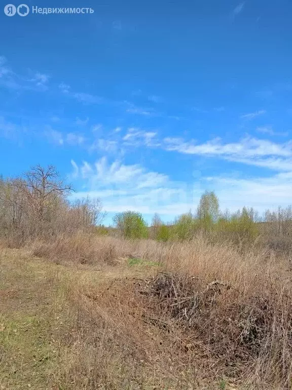 Участок в Амурская область, Благовещенский муниципальный округ, село ... - Фото 2