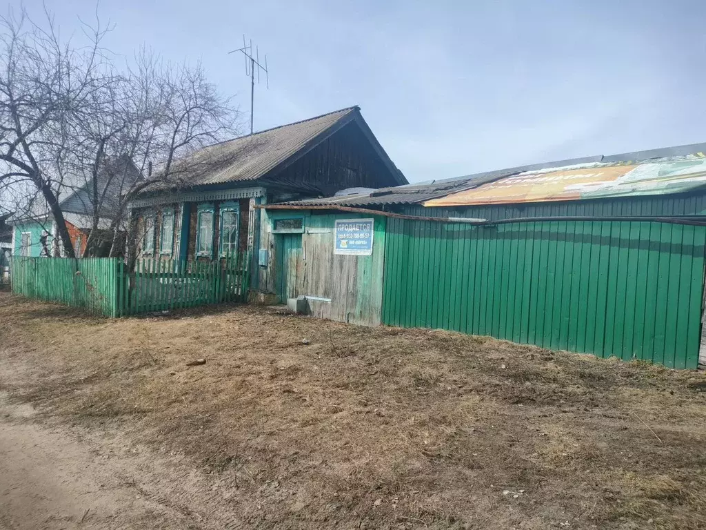 Дом в Новосибирская область, Сузун рп ул. Чкалова, 58 (31 м) - Фото 0