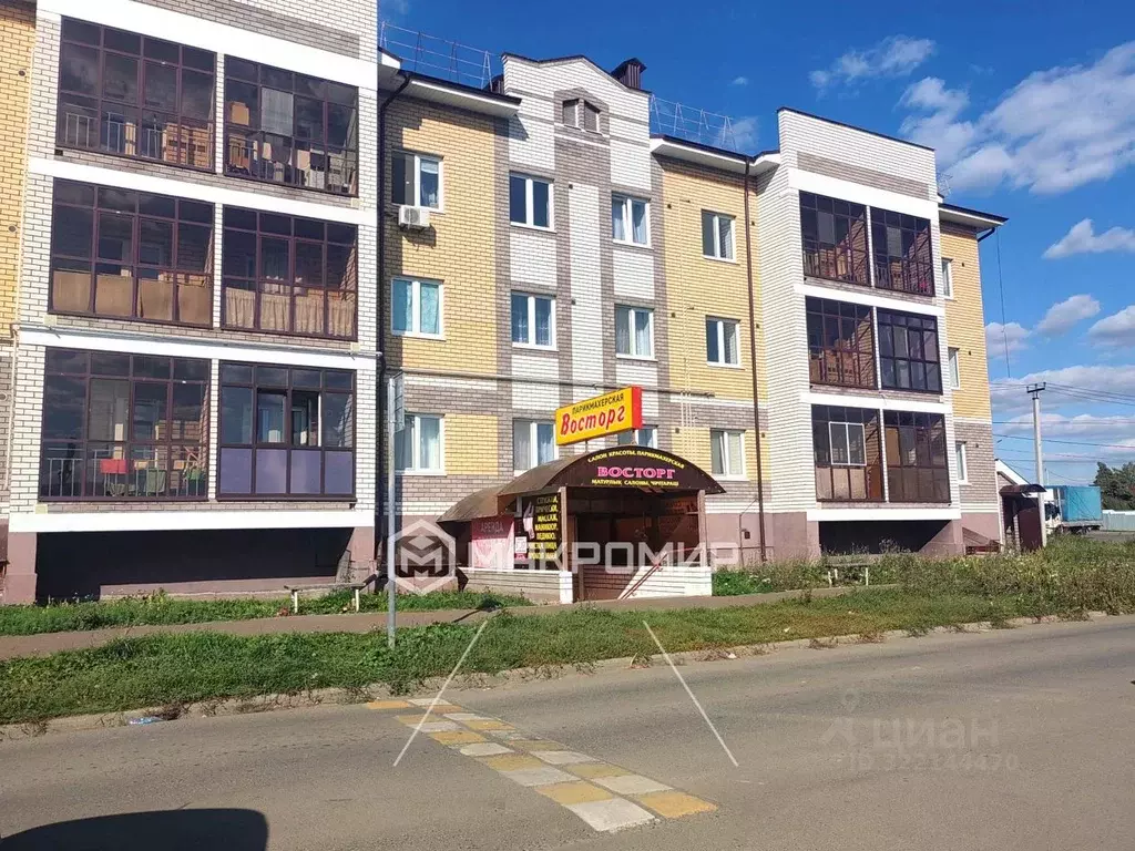 Помещение свободного назначения в Татарстан, с. Пестрецы ул. ... - Фото 1