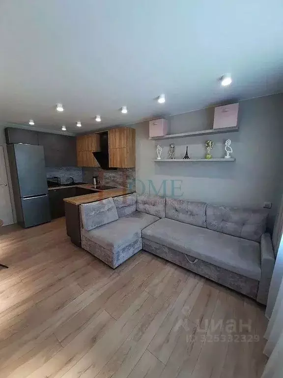 2-к кв. Новосибирская область, Новосибирск Красный просп., 307 (70.0 ... - Фото 2