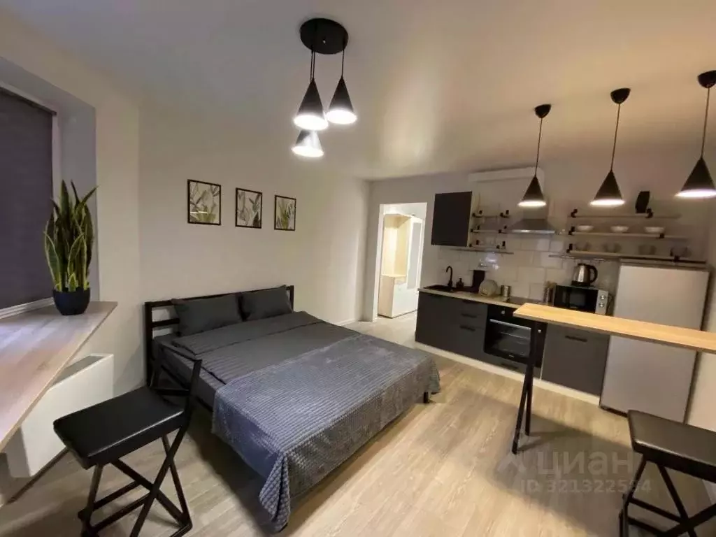 1-к кв. Калужская область, Калуга Хрустальная ул., 44к3 (28.0 м) - Фото 2