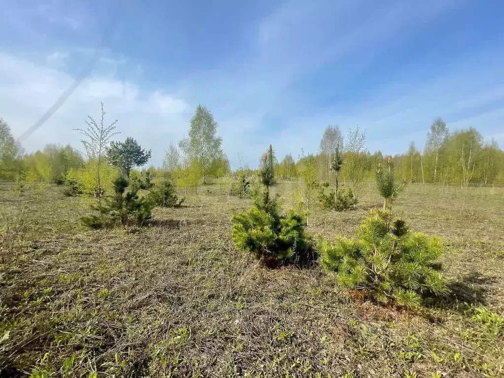 Участок в Ярославская область, Некрасовское рп  (800.0 сот.) - Фото 0