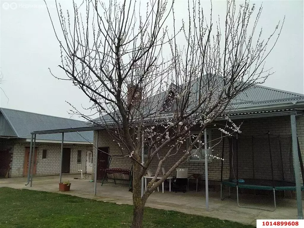 Дом в Болгов, Советская улица, 33 (150 м) - Фото 1