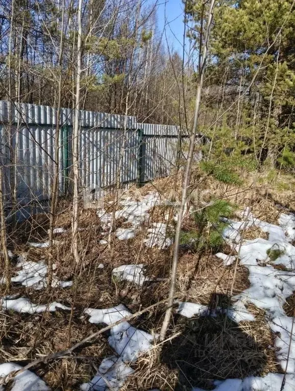 Участок в Ленинградская область, Всеволожский район, Рахьинское ... - Фото 2