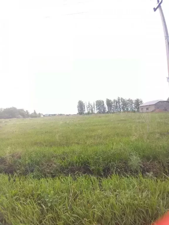 Участок в Башкортостан, Уфа городской округ, д. Елкибаево ул. Деловая, ... - Фото 0