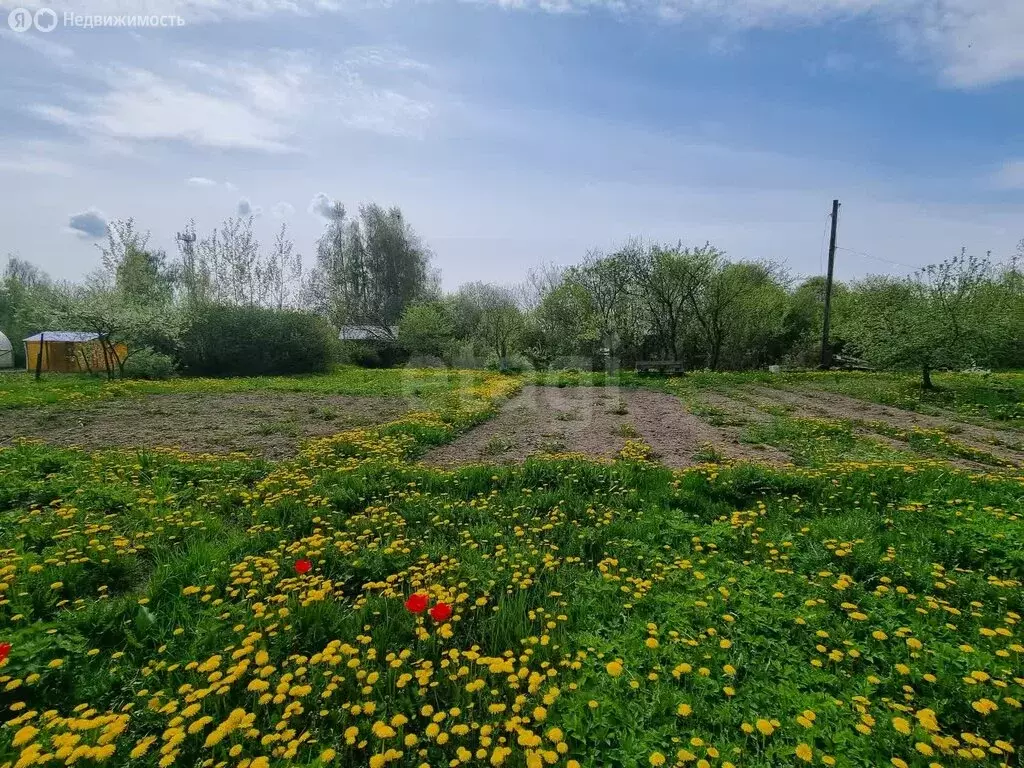 Участок в посёлок Прибрежный, улица Мира (13.2 м) - Фото 0