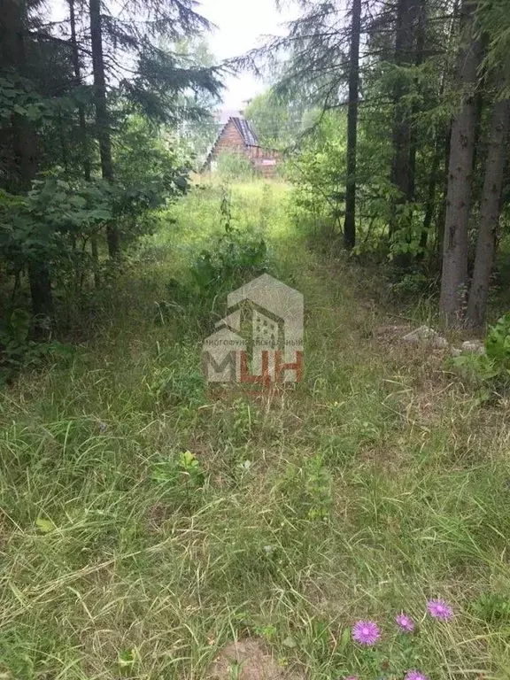 Участок в Тверская область, Конаковский муниципальный округ, Козлово ... - Фото 0