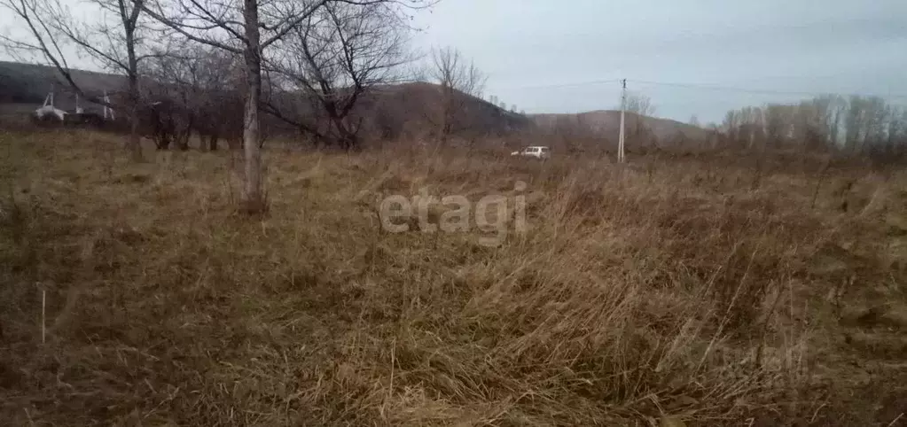Участок в Алтайский край, Алтайский район, Айский сельсовет, с. Ая ул. ... - Фото 1