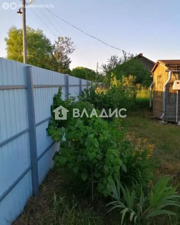 Участок в Владимирская область, Судогодский муниципальный округ, село ... - Фото 1