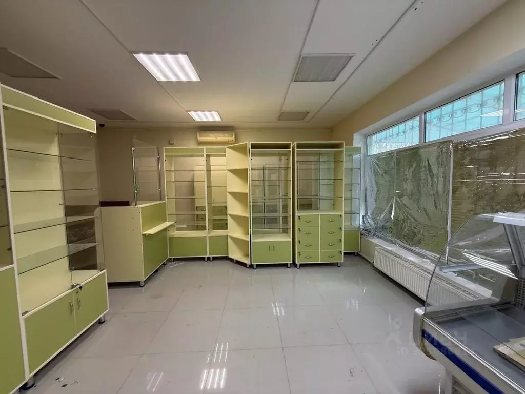 Помещение свободного назначения в Краснодарский край, Анапа ... - Фото 2