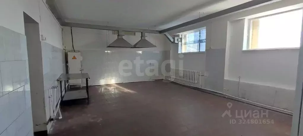 Дом в Амурская область, с. Тамбовка ул. Калининская, 14 (305 м) - Фото 1