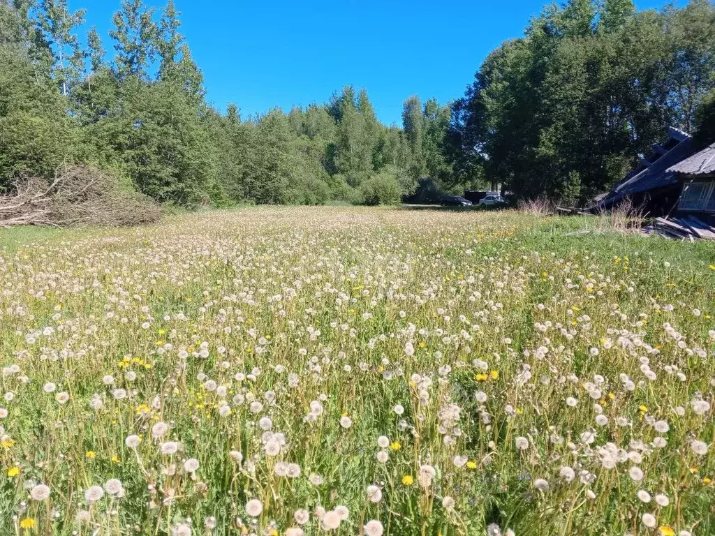 Участок в Псковская область, Гдовский район, Полновская волость, д. ... - Фото 2