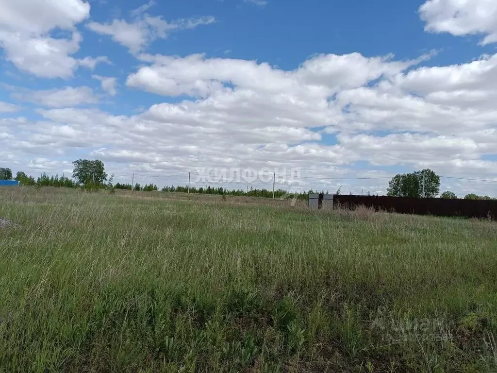 Участок в Новосибирская область, Новосибирский район, Ярковский ... - Фото 1