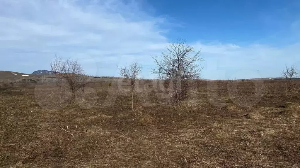 Участок 12 сот. (ИЖС) - Фото 1