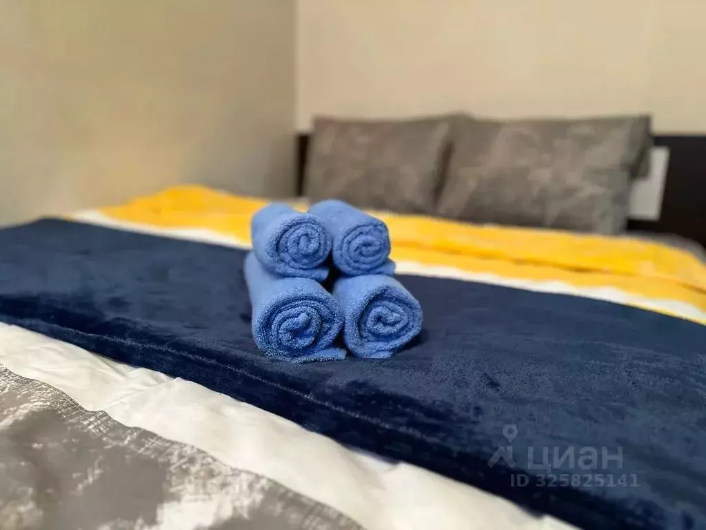 Студия Московская область, Балашиха Парковая ул., 17 (33.0 м) - Фото 1