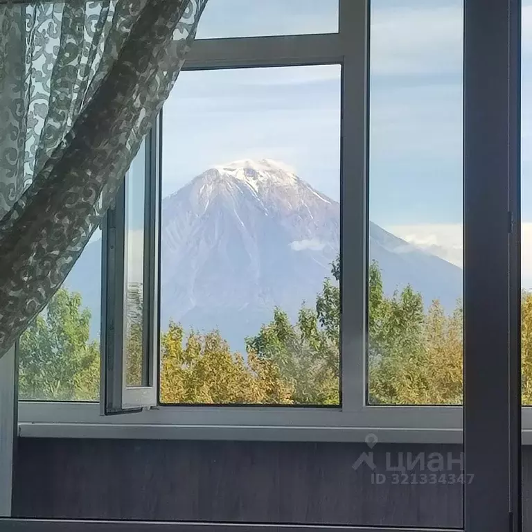 1-к кв. Камчатский край, Елизово ул. Рябикова, 49 (30.0 м) - Фото 0