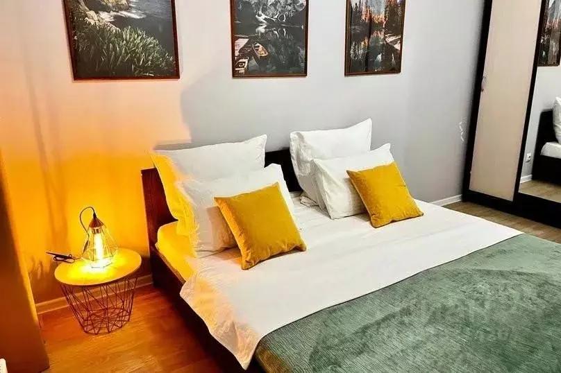 3-к кв. Московская область, Люберцы ул. Летчика Ларюшина, 6к2 (60.0 м) - Фото 2