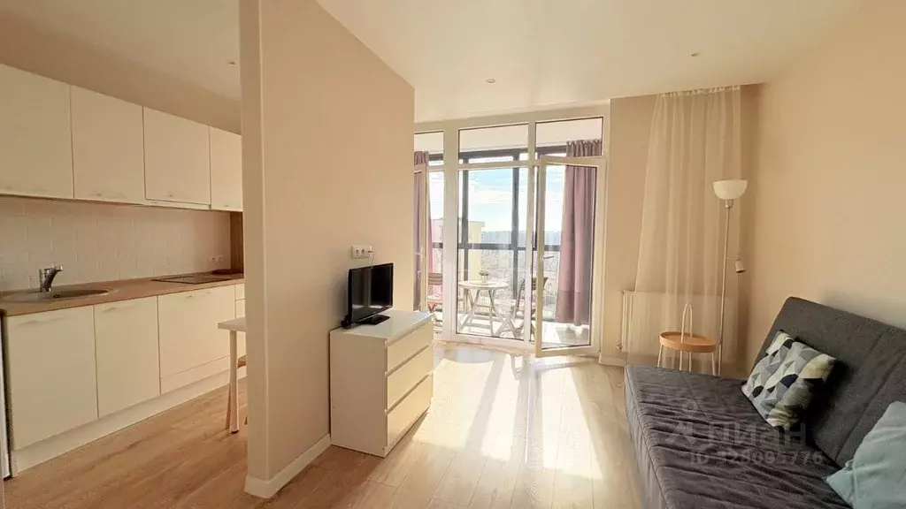 Студия Калининградская область, Светлогорск Дачная ул., 6 (25.7 м) - Фото 1