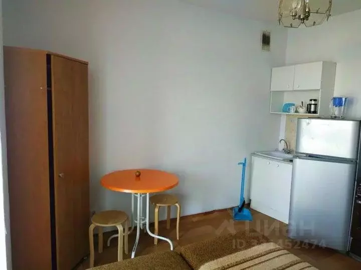 Студия Красноярский край, Красноярск ул. Борисова, 42 (20.0 м) - Фото 1