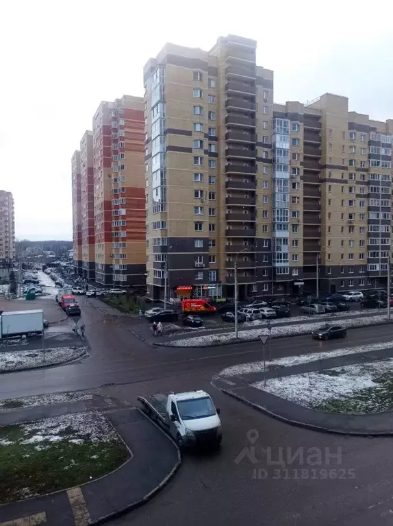 1-к кв. Московская область, Лосино-Петровский городской округ, ... - Фото 2