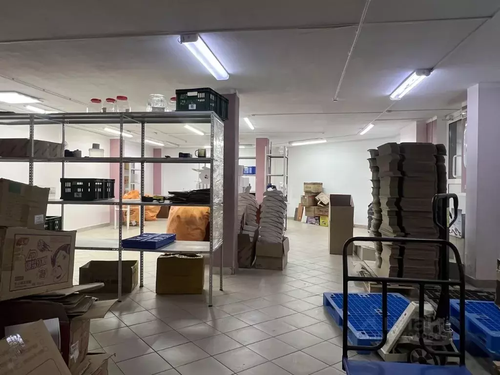 Помещение свободного назначения в Московская область, Ивантеевка ... - Фото 2