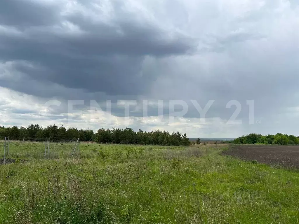 Участок в Липецкая область, Задонский район, Верхнеказаченский ... - Фото 1