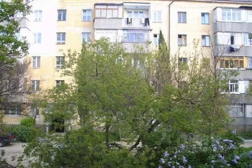 1-к кв. Севастополь ул. Меньшикова, 23 (33.0 м) - Фото 1