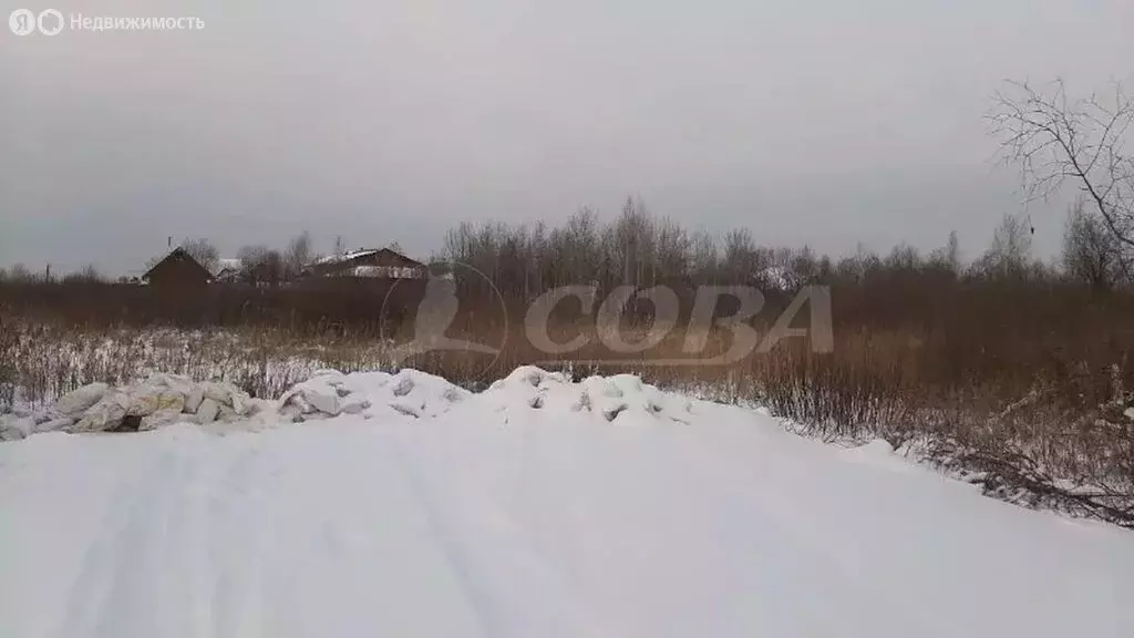 Участок в Тюменский муниципальный округ, село Борки (14 м) - Фото 2