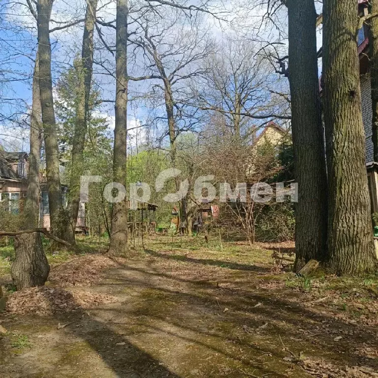 Продается участок в с. Дубки - Фото 1