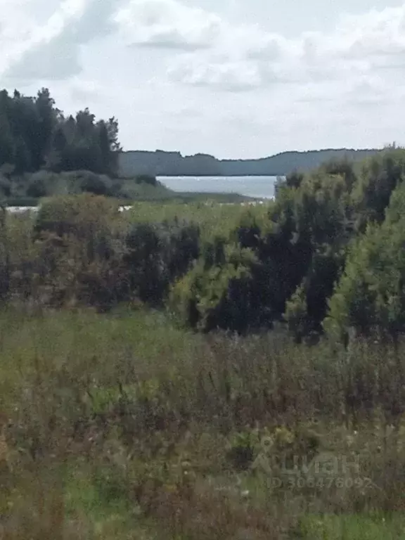 Участок в Новгородская область, Демянский муниципальный округ, д. ... - Фото 0