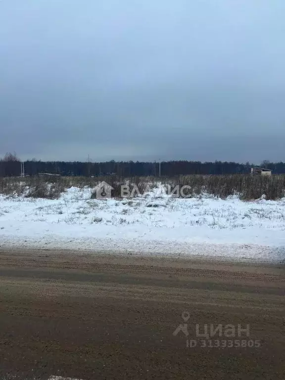 Участок в Владимирская область, Владимир д. Шепелево, ул. Центральная, ... - Фото 0