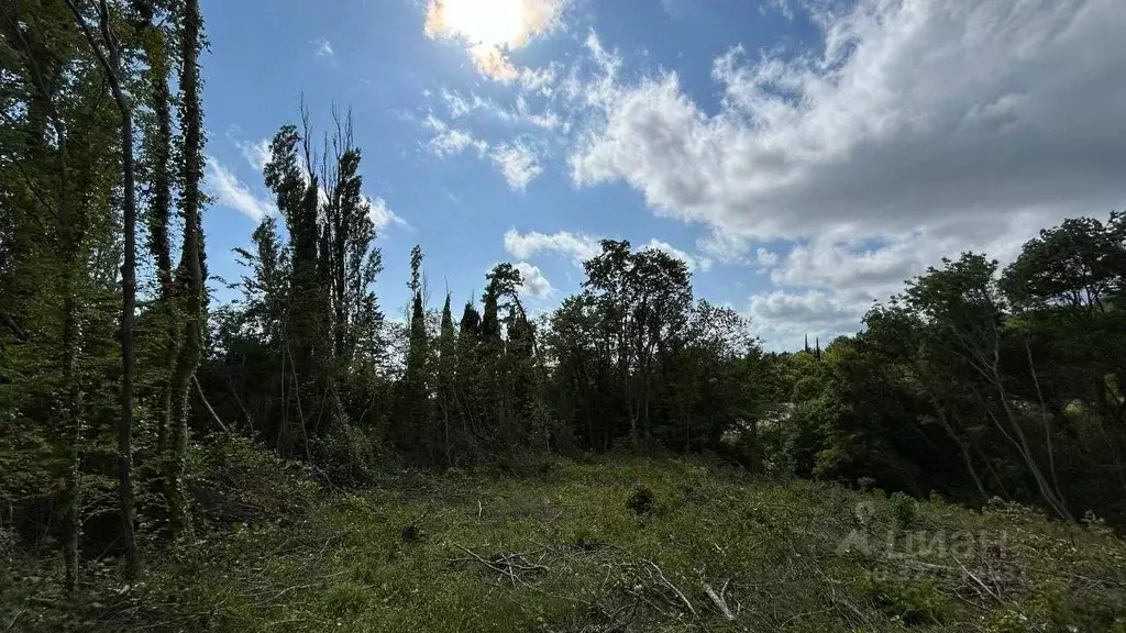 Участок в Краснодарский край, Сочи Аше мкр,  (6.0 сот.) - Фото 1