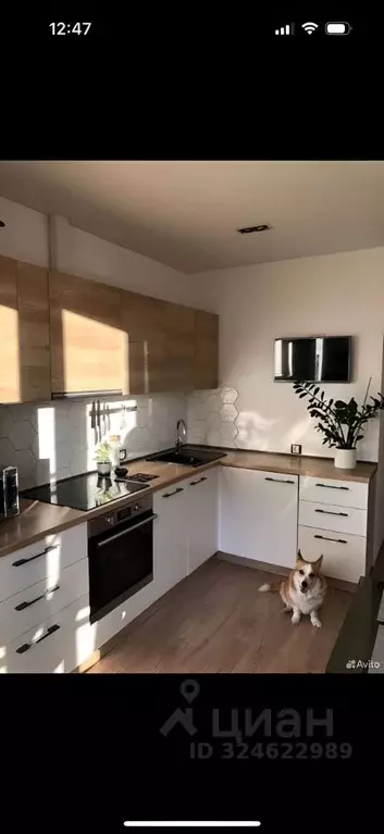 1-к кв. Санкт-Петербург Лиственная ул., 18к1 (38.1 м) - Фото 1