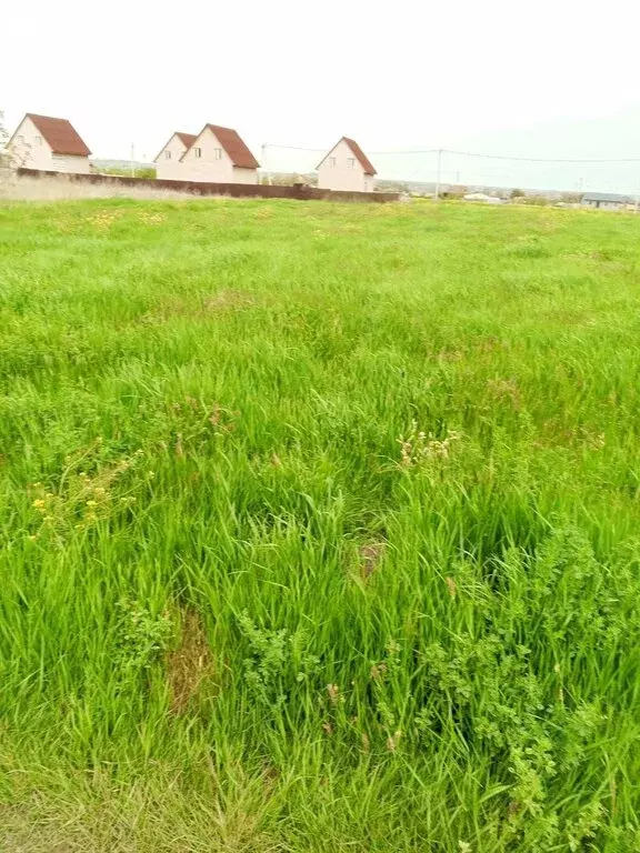 Участок в станица Старотитаровская, улица Дружбы, 15 (15 м) - Фото 0
