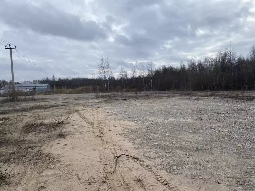 Участок в Псковская область, Псковский район, Логозовская волость, д. ... - Фото 2