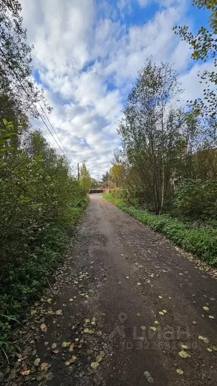 Участок в Санкт-Петербург, Санкт-Петербург, Петергоф ул. Широкая, 50А ... - Фото 1
