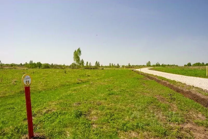 Участок в Тульская область, Заокский район, Демидовское муниципальное ... - Фото 2