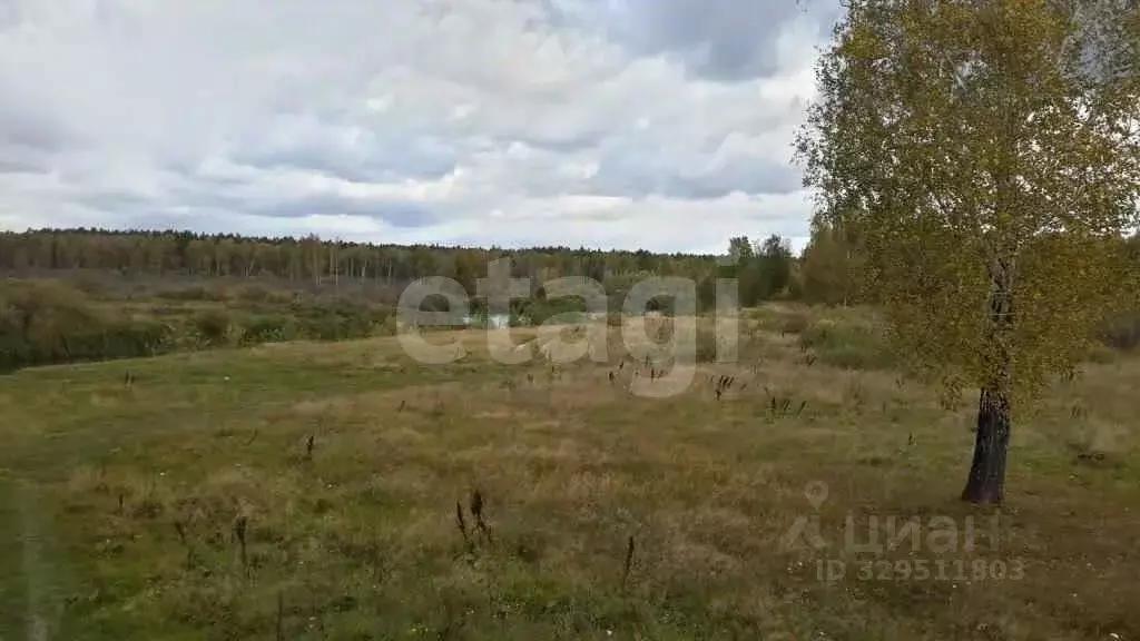 Участок в Тюменская область, Тюменский муниципальный округ, д. ... - Фото 1