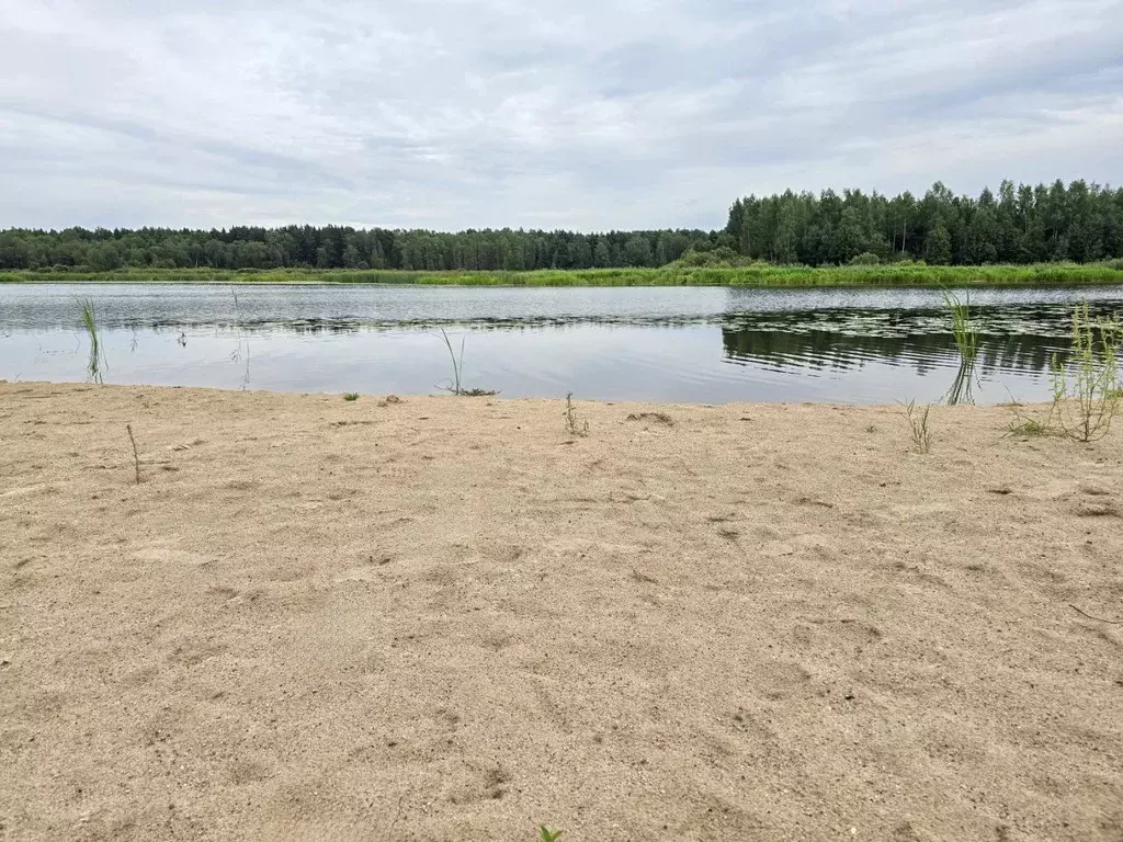 Участок в Тверская область, Конаковский муниципальный округ, д. ... - Фото 2